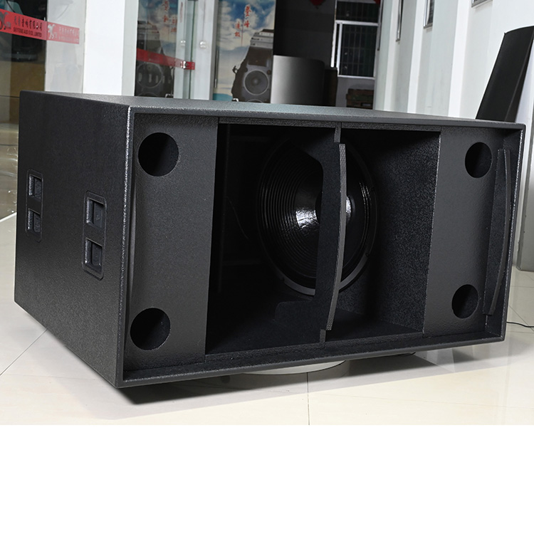 Dual 21 2025 inch subwoofer