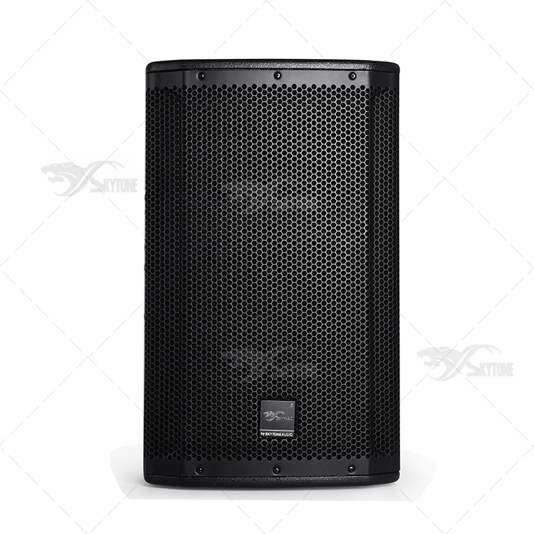 SRX815P Active speaker
