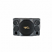 CSE310 Karaoke speaker 10 inch