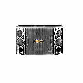 CSX850 Karaoke speaker 10 inch
